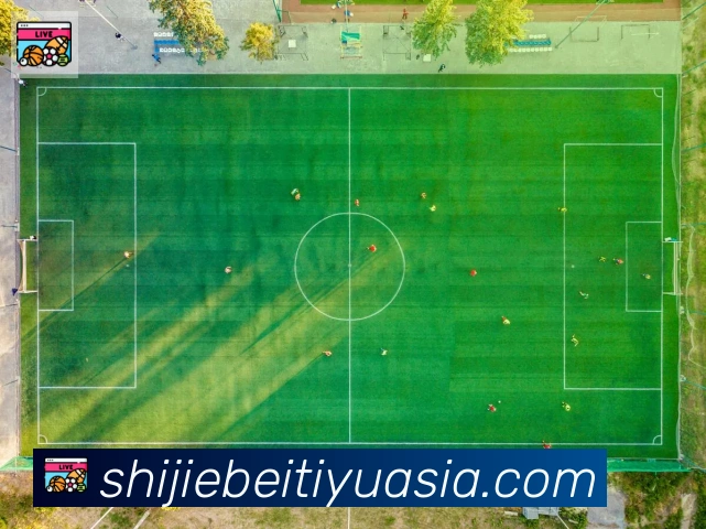 世界杯赛事官方网站APP 封面图