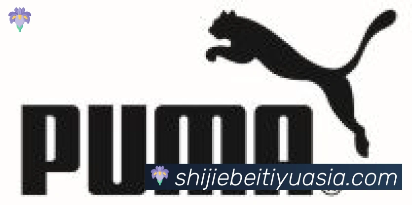 世界杯赛事官方网站合作伙伴